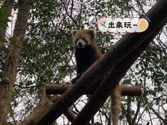 -宫廷糕点铺