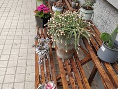 -浙江宾馆·花园餐厅·自助餐厅·茶吧