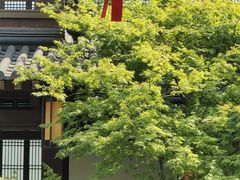 -香积寺