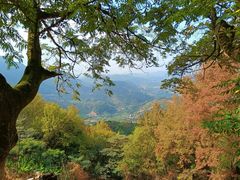 -广州市石门国家森林公园