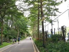 门面-大沙河公园