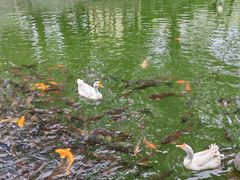 -天毓山庄·餐厅