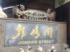 -马六甲鸡场街