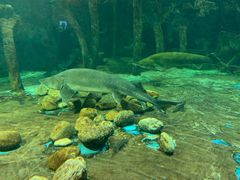 -华夏文旅海洋公园