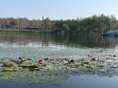 -长春市南湖公园