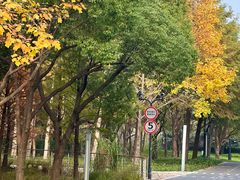 -煲珠公·老红糖珍珠奶茶(长宁龙之梦店)