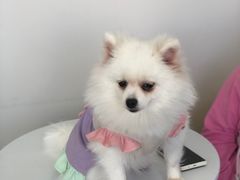 -怪兽屋·羊驼·猫咖·狗咖(俊华广场店)