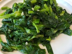 清炒豌豆尖-一轩饺子馆(丽都店)