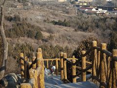 -白水寺森林公园