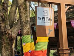 -同里国家湿地公园