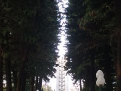 -星海公园(番禺区)
