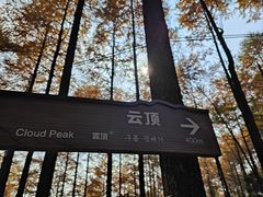 -莫干山风景区