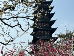 -上海方塔园