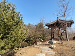 -横山寺