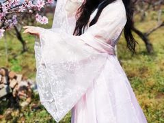 -樂桃源奉贤黄桃种植采摘基地