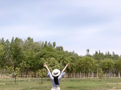 -武清南湖绿博园