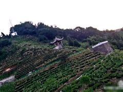 -石潭村