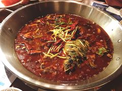-红牌美蛙鱼头火锅(万辉国际广场店)