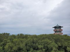 -盐洲岛