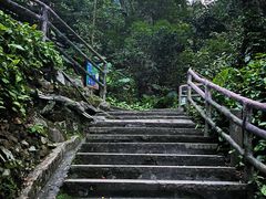 -鼎湖山风景区