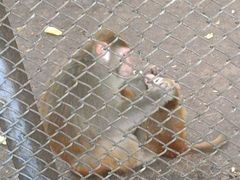 -长白岛森林公园