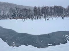 -青池