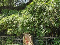 -杭州黄龙洞