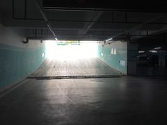 -复旦软件园·智慧新天地-停车场