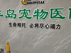 -半岛宠物医院24小时(白果林店)