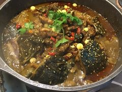 -甲大帅·甲鱼·椰子鸡主题餐厅(唐家店)