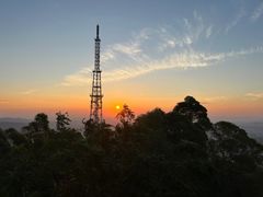 -水濂山森林公园