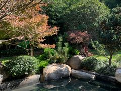 -七彩云南古滇温泉山庄