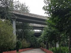 -东郊湿地公园