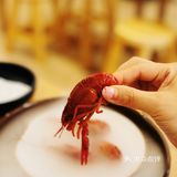 人均不到200佛跳墙蟹粉面都吃到！这家蟹谷面yyds