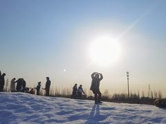 -绿野森林乐园冰雪季