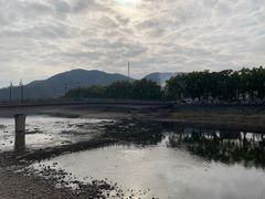 -宁波溪口古镇-民国大杂院