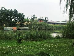 -白鹭湾湿地公园