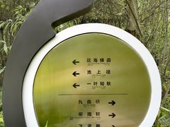 -桤木河湿地公园