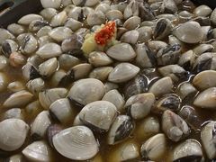 -顺德哥卜卜贝(旗舰店)