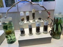 -广东中医药博物馆