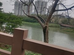 -广东花都湖国家湿地公园
