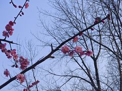 -湖州太湖旅游度假区-月亮广场