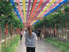 景点-南宫五洲植物乐园