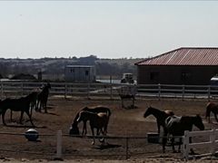 -御道口草原森林风景区-游客咨询处