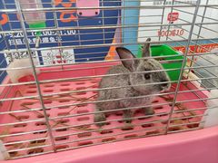 -宝龙广场(福州台江店)