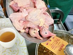 -百利鸽王(紫薇路店)