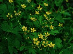 -苏州河梦清园环保主题公园