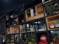 -刺客纹画纹身·洗纹身·穿孔饰品