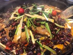 -老板恋上鱼(恒隆广场店)