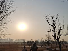 -汉长安城未央宫国家考古遗址公园